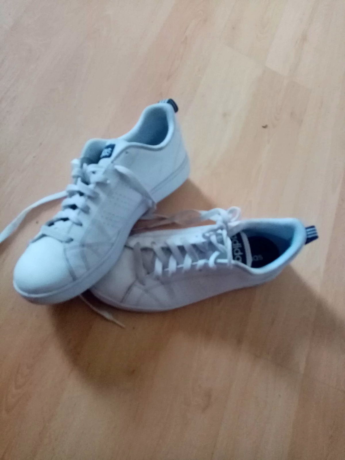 basket adidas advantage homme