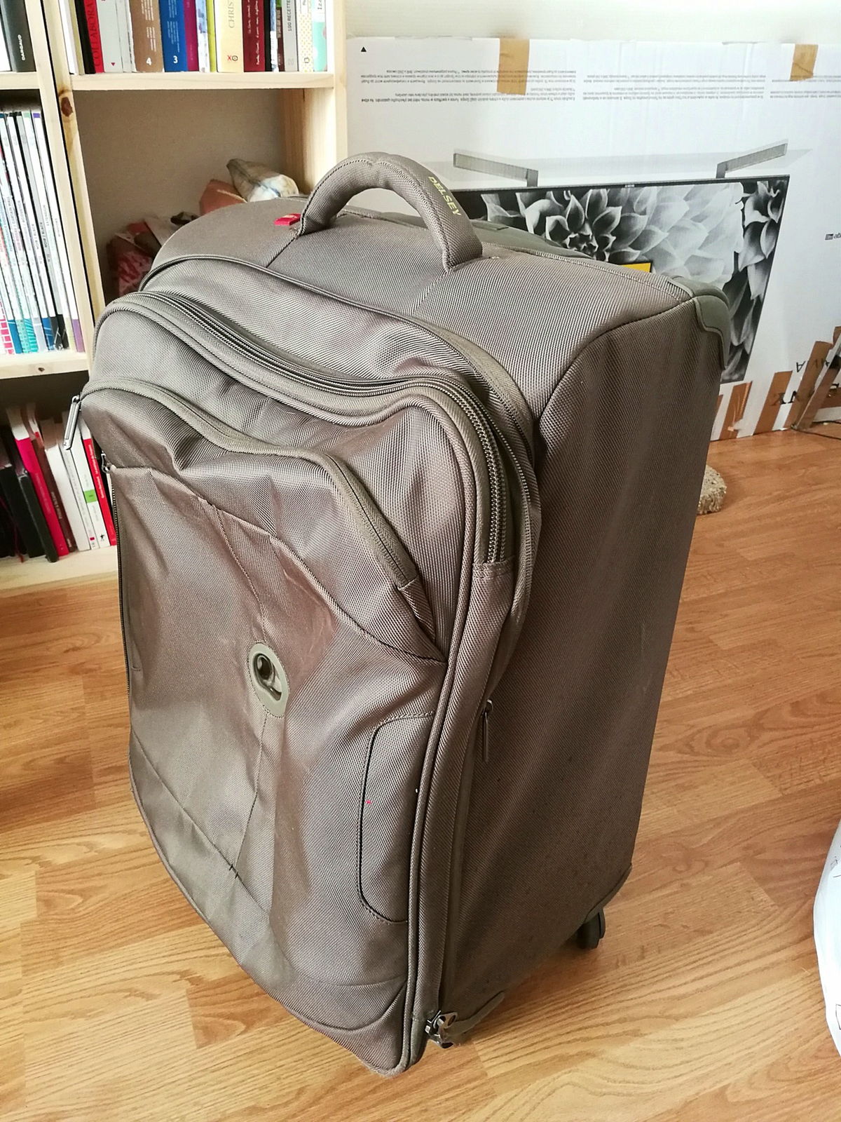 La Valise Ideale De La Grande Librairie Vends grande valise DESLEY, bon état sur GensDeConfiance